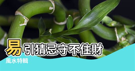 前低後高風水|【風水特輯】房子地勢過高過低都不行！易引猜忌守不。